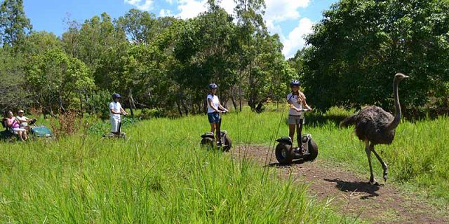 Casela nature park mauritius (7)